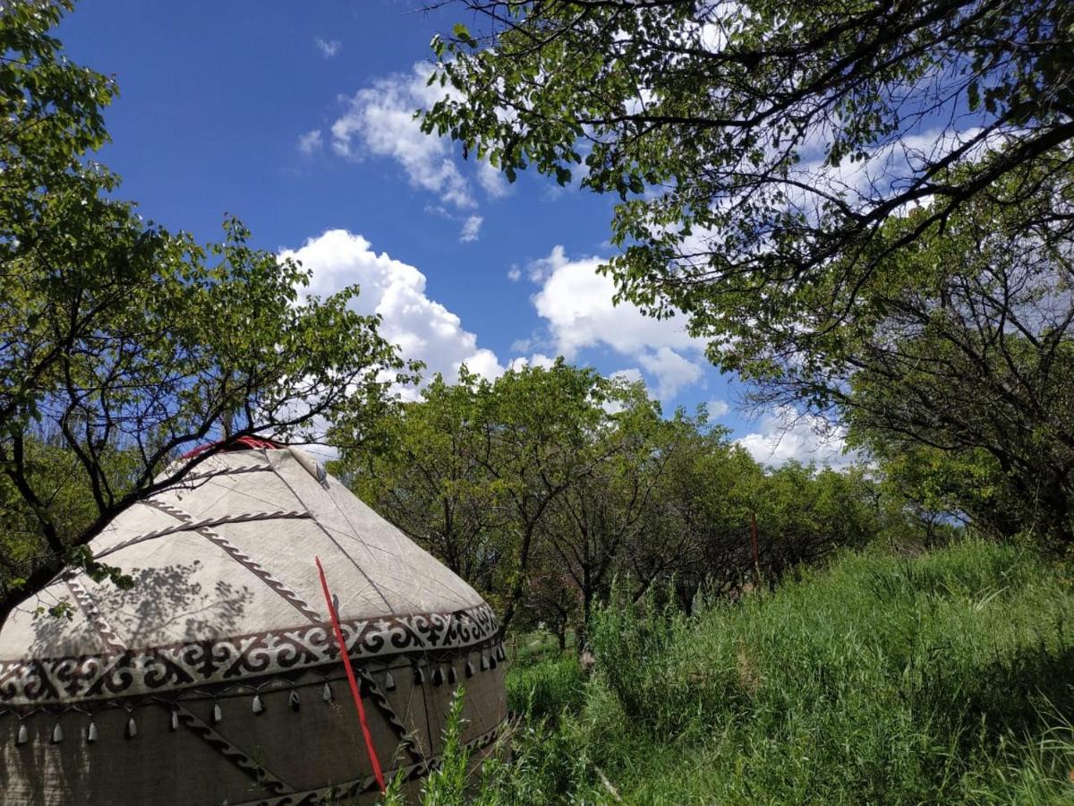 Turan Handmade Yurt With Heated Floors Bed and Breakfast Karakol Esterno foto