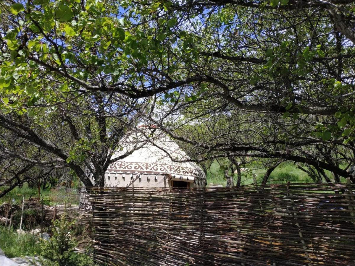 Turan Handmade Yurt With Heated Floors Bed and Breakfast Karakol Esterno foto